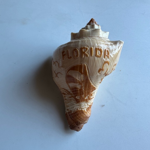 4 state of Florida souvenirs - Picture 7 of 8